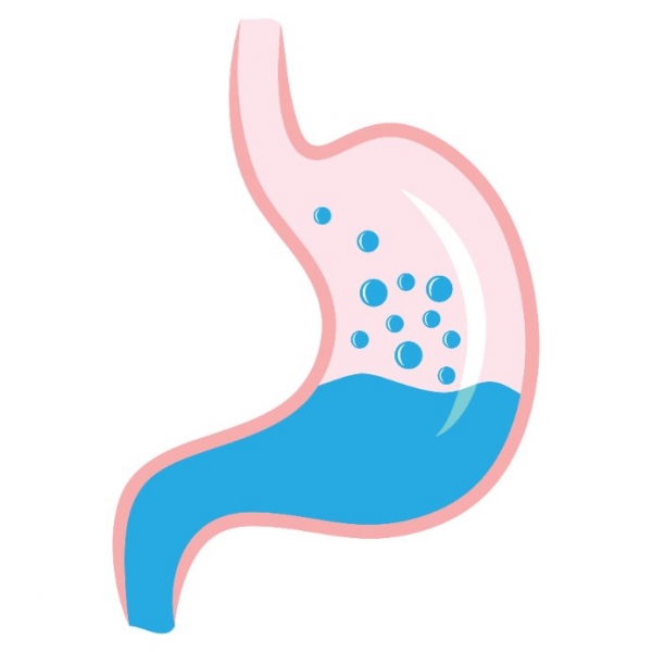 Digestion